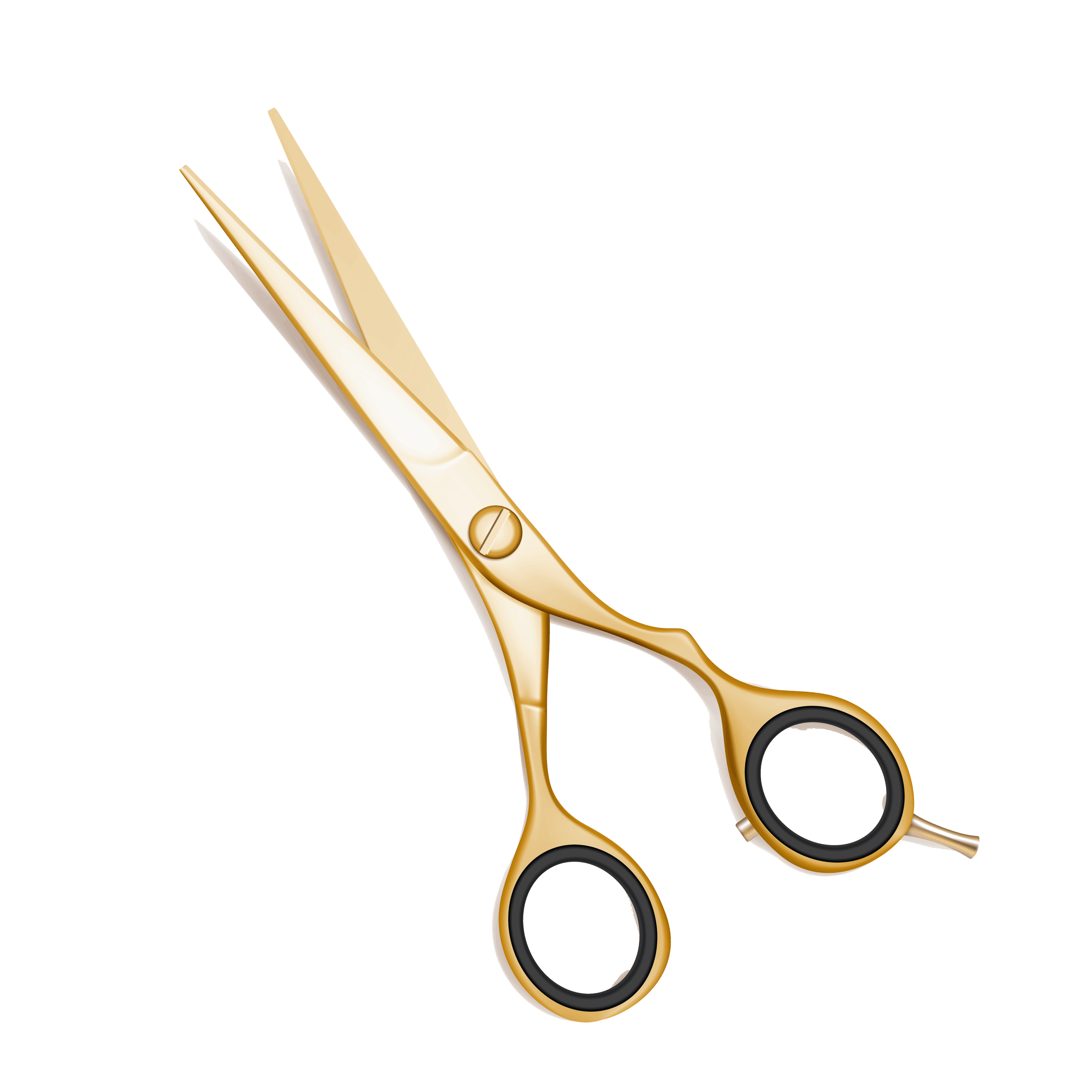 Salon Services Nail Scissors